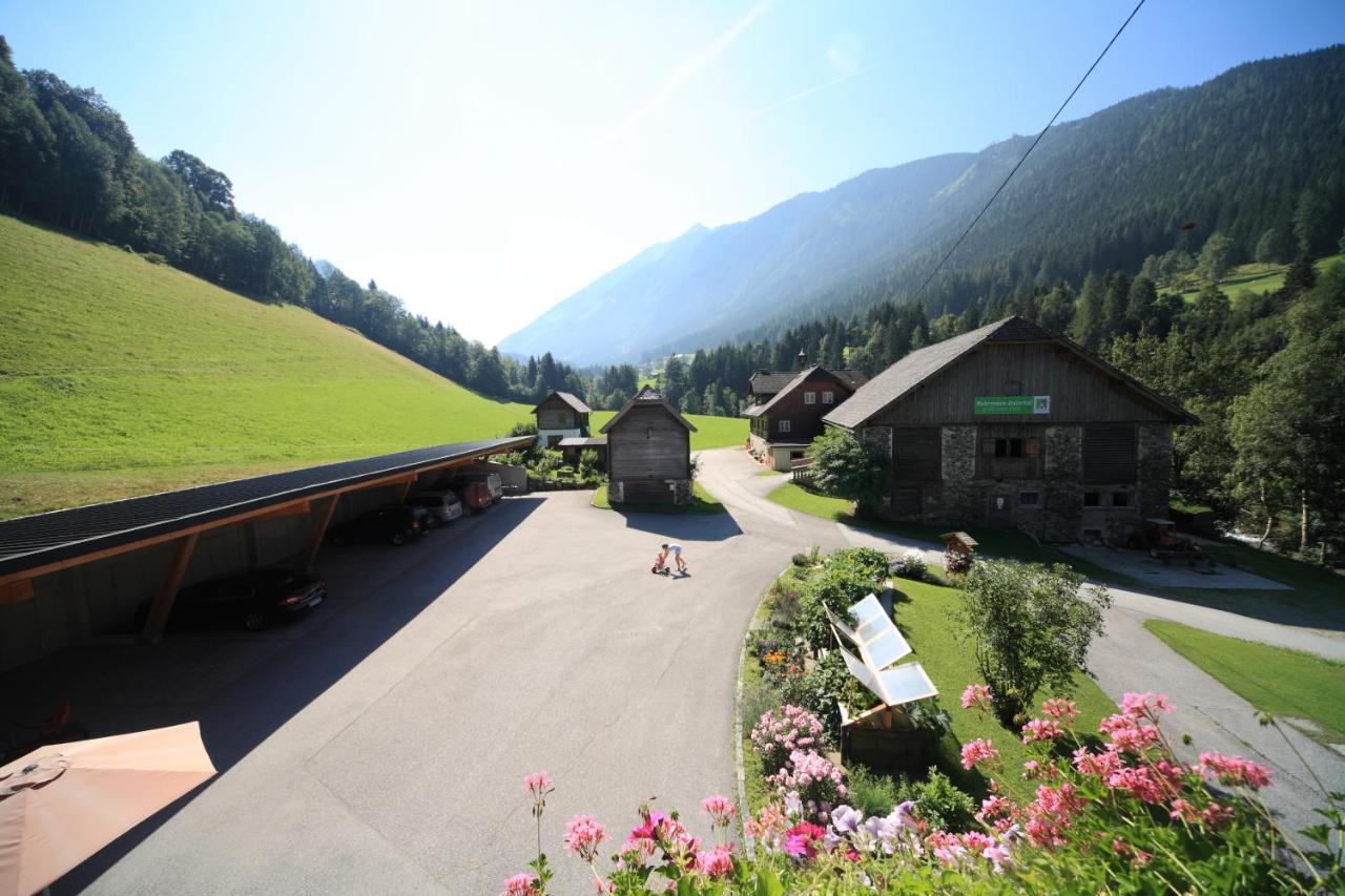 Ahlhof Villa Schladming Exterior foto
